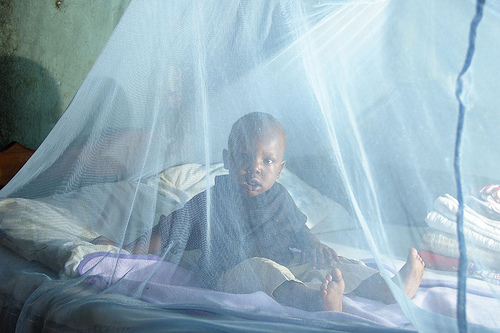 insecticide-treated mosquito net